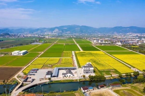 高標(biāo)準(zhǔn)農(nóng)田典型案例集錦丨“豐景”，在希望的田野