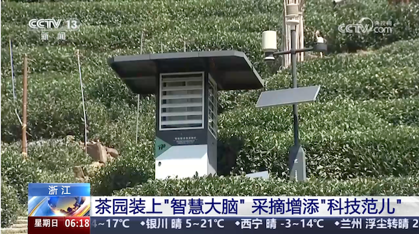 央視、人民網(wǎng)等權(quán)威媒體聚焦西湖龍井：托普云農(nóng)“黑科技”點亮千年茶香智變之路