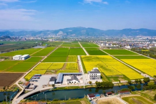 托普云農(nóng)高標準農(nóng)田建設(shè)答卷：用實踐書寫政策新篇