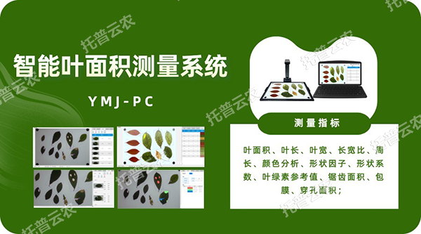 智能葉面積測量系統(tǒng)——秒級快速測葉片，多參數(shù)同步解析，云端數(shù)據(jù)好管理